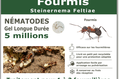 Nematoden-Ameisenbehandlung 5 Millionen