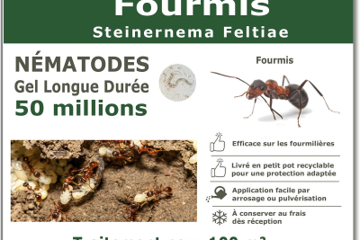 Nematoden-Ameisenbehandlung 50 Millionen
