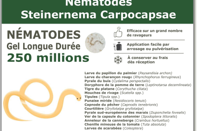 250 millones de nematodos Steinernema Carpocapsae (SC)