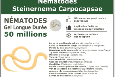 50 milioni di Steinernema Carpocapsae (SC) Nematodi