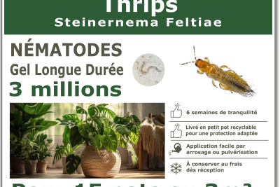 Thrips 3 εκατομμύρια νηματώδεις