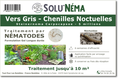 Treatment against cutworms with nematodes Steinernema Carpocapsae 5 million SC