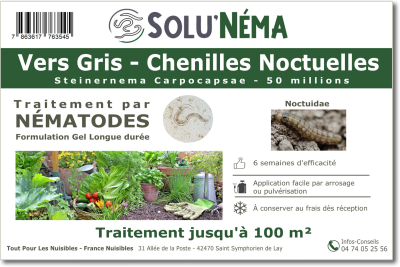 Behandlung gegen Eulenwürmer mit Nematoden Steinernema Carpocapsae 50 Millionen SC
